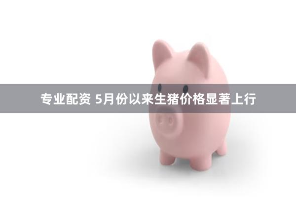 专业配资 5月份以来生猪价格显著上行