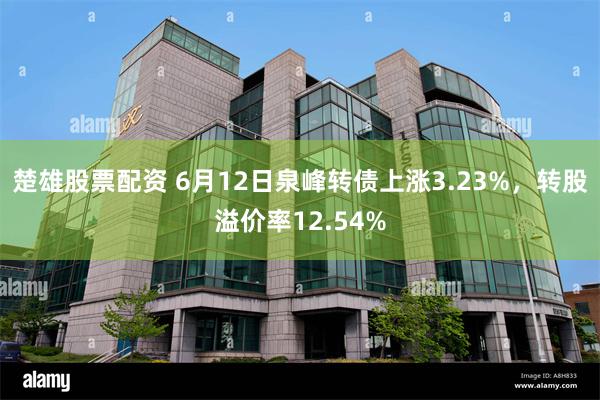 楚雄股票配资 6月12日泉峰转债上涨3.23%，转股溢价率12.54%