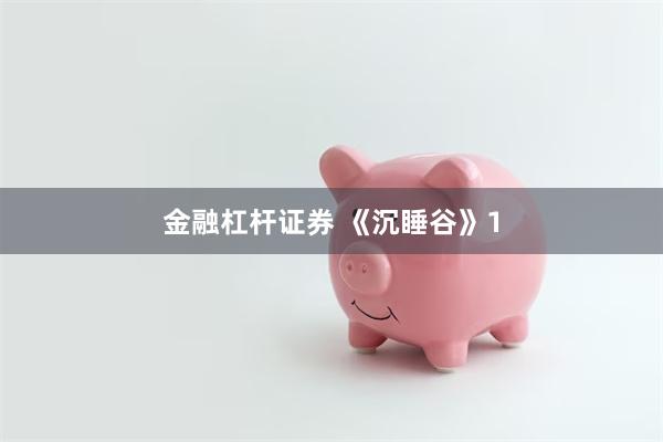 金融杠杆证券 《沉睡谷》1