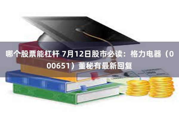 哪个股票能杠杆 7月12日股市必读：格力电器（000651）董秘有最新回复