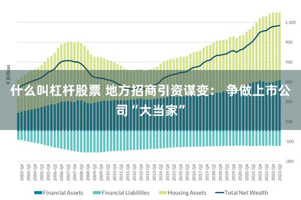 什么叫杠杆股票 地方招商引资谋变： 争做上市公司“大当家”