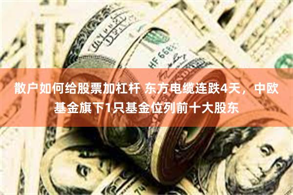 散户如何给股票加杠杆 东方电缆连跌4天，中欧基金旗下1只基金位列前十大股东