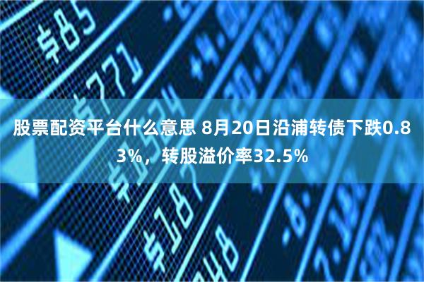 股票配资平台什么意思 8月20日沿浦转债下跌0.83%，转股溢价率32.5%