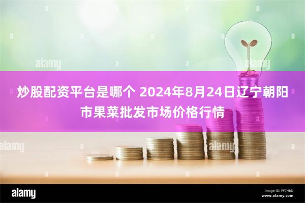 炒股配资平台是哪个 2024年8月24日辽宁朝阳市果菜批发市场价格行情