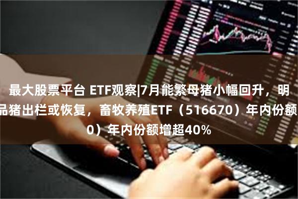 最大股票平台 ETF观察|7月能繁母猪小幅回升，明年3月商品猪出栏或恢复，畜牧养殖ETF（516670）年内份额增超