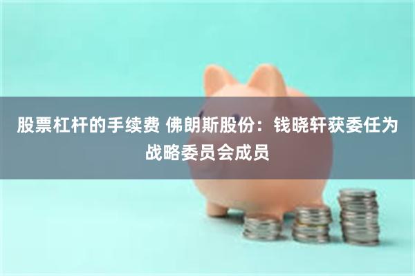 股票杠杆的手续费 佛朗斯股份：钱晓轩获委任为战略委员会成员