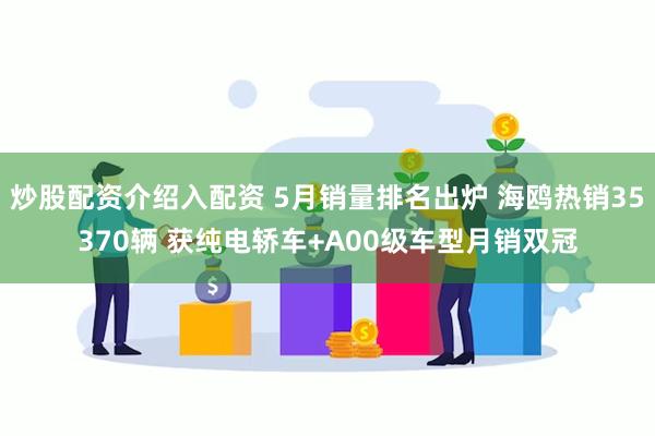 炒股配资介绍入配资 5月销量排名出炉 海鸥热销35370辆 获纯电轿车+A00级车型月销双冠