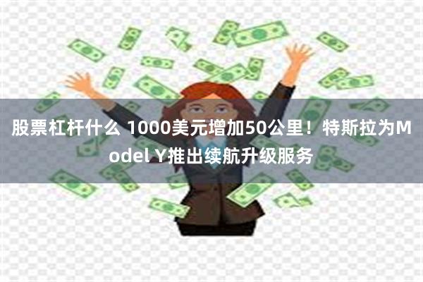 股票杠杆什么 1000美元增加50公里！特斯拉为Model Y推出续航升级服务