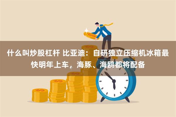 什么叫炒股杠杆 比亚迪：自研独立压缩机冰箱最快明年上车，海豚、海鸥都将配备