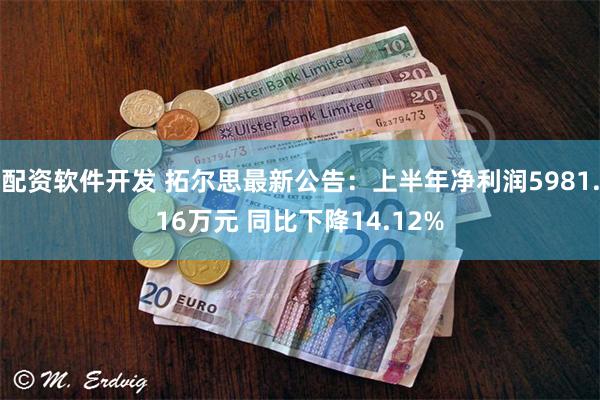 配资软件开发 拓尔思最新公告：上半年净利润5981.16万元 同比下降14.12%