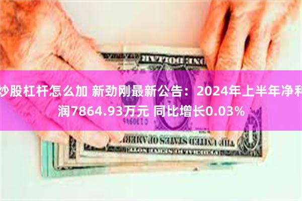 炒股杠杆怎么加 新劲刚最新公告：2024年上半年净利润7864.93万元 同比增长0.03%