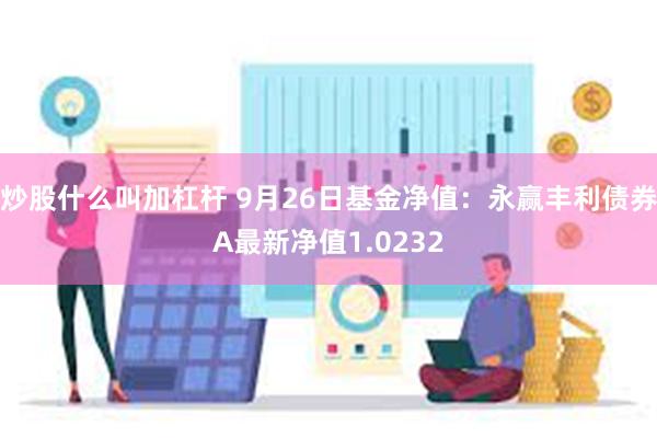 炒股什么叫加杠杆 9月26日基金净值：永赢丰利债券A最新净值1.0232