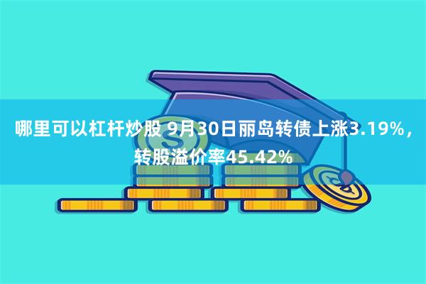 哪里可以杠杆炒股 9月30日丽岛转债上涨3.19%，转股溢价率45.42%