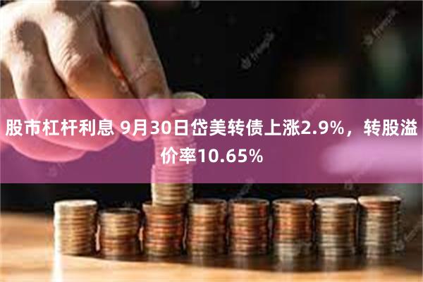 股市杠杆利息 9月30日岱美转债上涨2.9%，转股溢价率10.65%