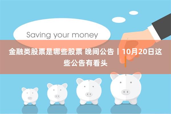 金融类股票是哪些股票 晚间公告丨10月20日这些公告有看头