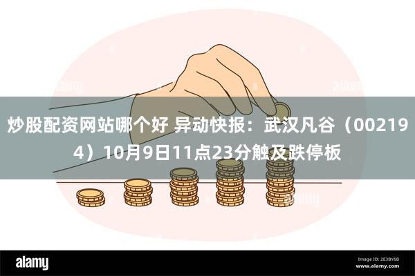 炒股配资网站哪个好 异动快报：武汉凡谷（002194）10月9日11点23分触及跌停板