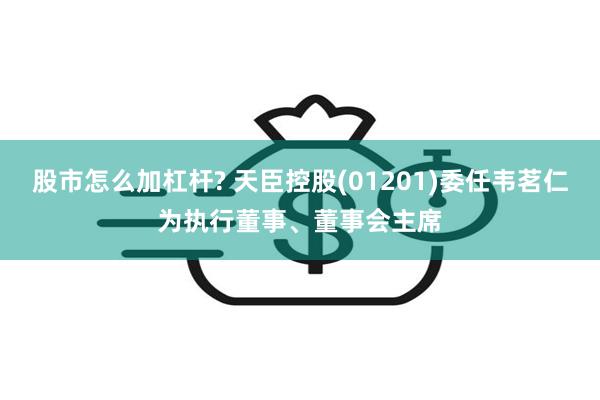 股市怎么加杠杆? 天臣控股(01201)委任韦茗仁为执行董事、董事会主席