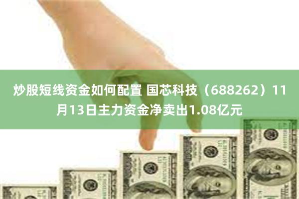 炒股短线资金如何配置 国芯科技（688262）11月13日主力资金净卖出1.08亿元