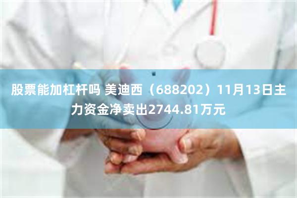 股票能加杠杆吗 美迪西（688202）11月13日主力资金净卖出2744.81万元