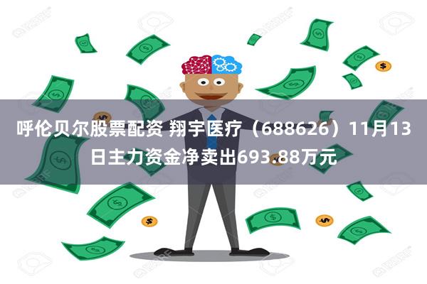 呼伦贝尔股票配资 翔宇医疗（688626）11月13日主力资金净卖出693.88万元