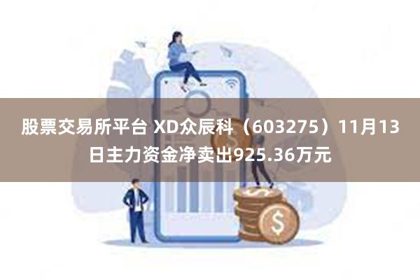 股票交易所平台 XD众辰科（603275）11月13日主力资金净卖出925.36万元