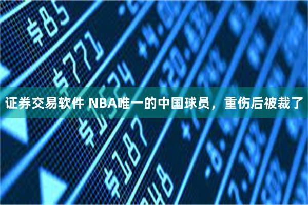 证券交易软件 NBA唯一的中国球员，重伤后被裁了