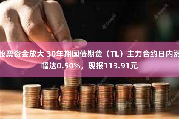 股票资金放大 30年期国债期货（TL）主力合约日内涨幅达0.50%，现报113.91元