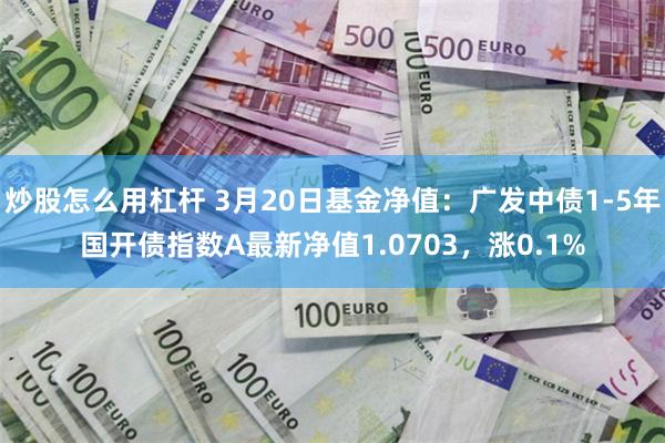 炒股怎么用杠杆 3月20日基金净值：广发中债1-5年国开债指数A最新净值1.0703，涨0.1%